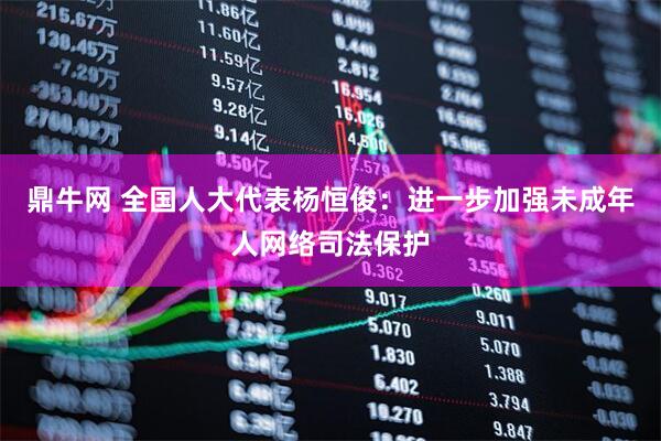 鼎牛网 全国人大代表杨恒俊：进一步加强未成年人网络司法保护