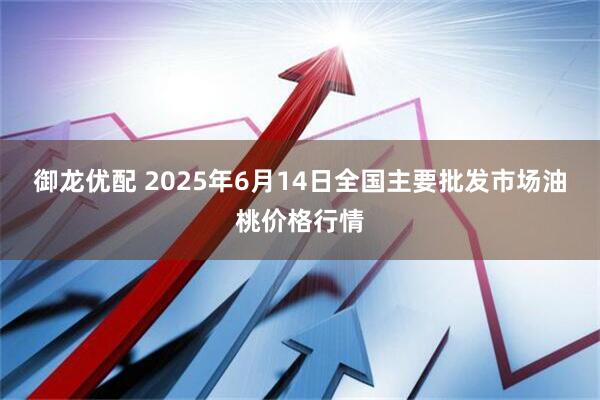 御龙优配 2025年6月14日全国主要批发市场油桃价格行情