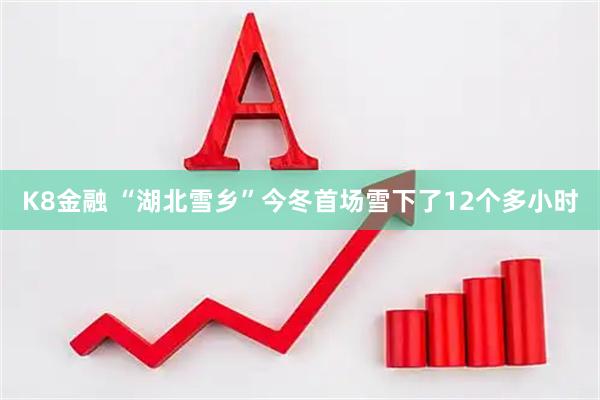 K8金融 “湖北雪乡”今冬首场雪下了12个多小时