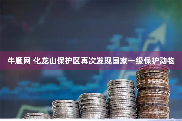 牛顺网 化龙山保护区再次发现国家一级保护动物