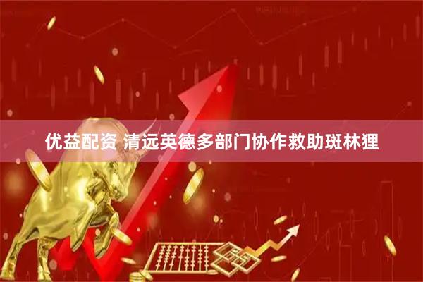 优益配资 清远英德多部门协作救助斑林狸