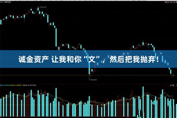 诚金资产 让我和你“文”，然后把我抛弃！