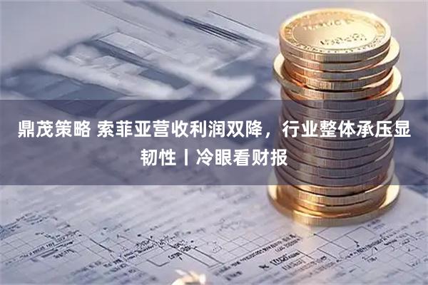 鼎茂策略 索菲亚营收利润双降，行业整体承压显韧性丨冷眼看财报